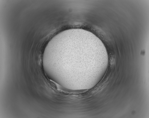 X0000097631204200803142017