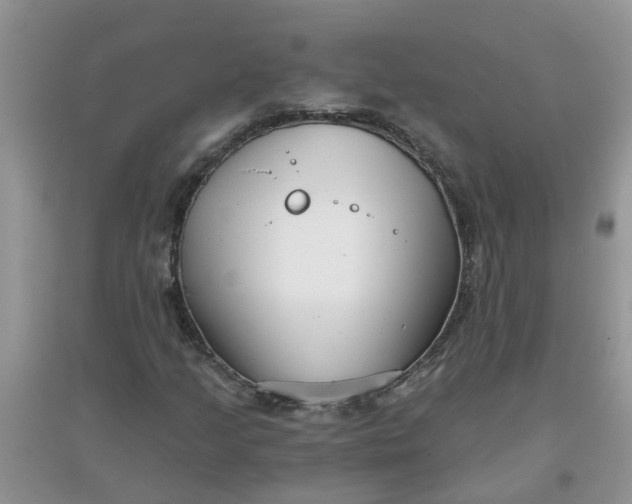 X0000097631205200803142017