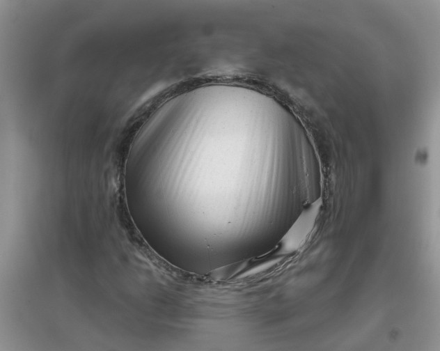 X0000097631206200803142017