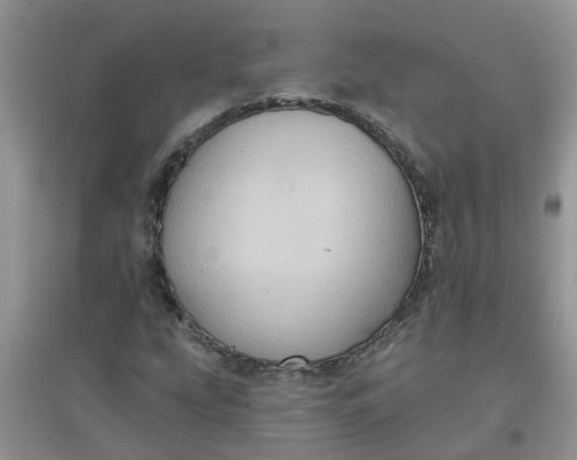 X0000097631207200803142017