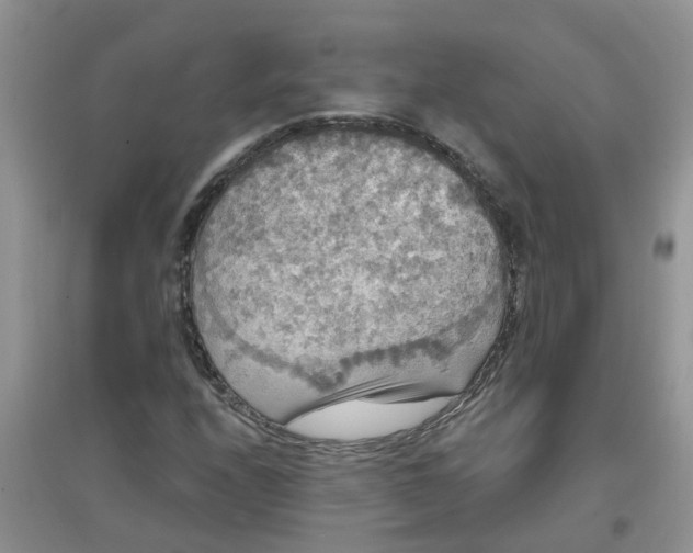 X0000097631208200803142017