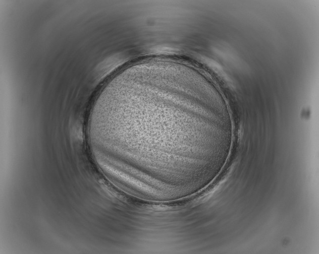 X0000097631209200803142017