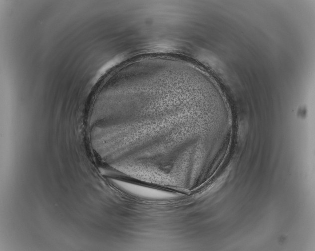 X0000097631210200803142017