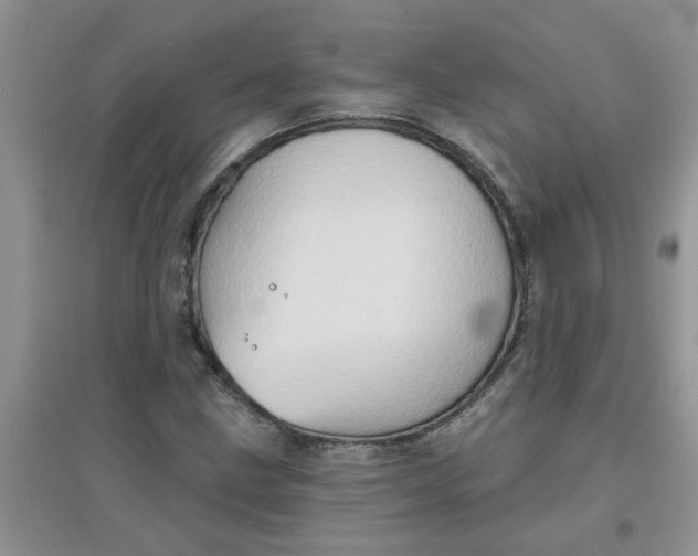 X0000097631211200803142017