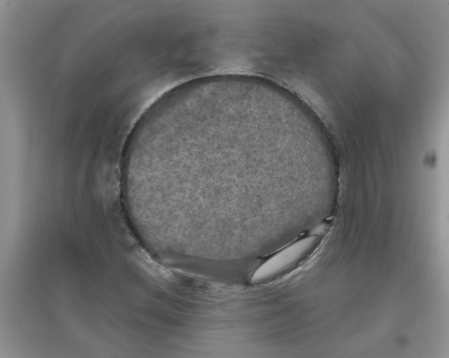 X0000097631212200803142017