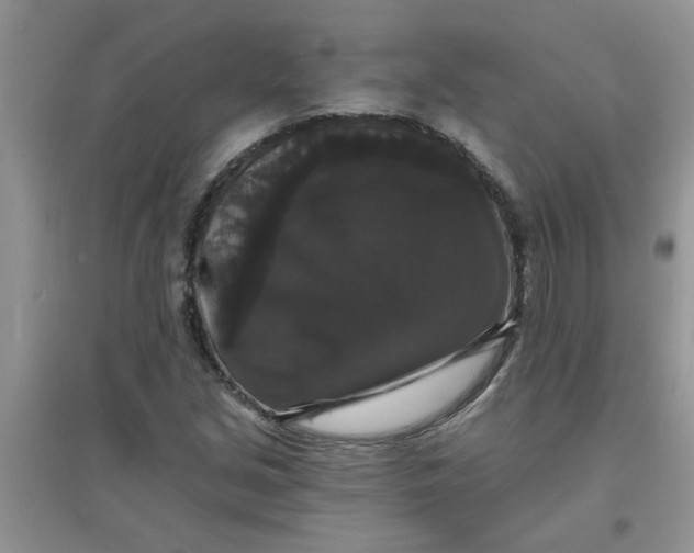 X0000097631213200803142017