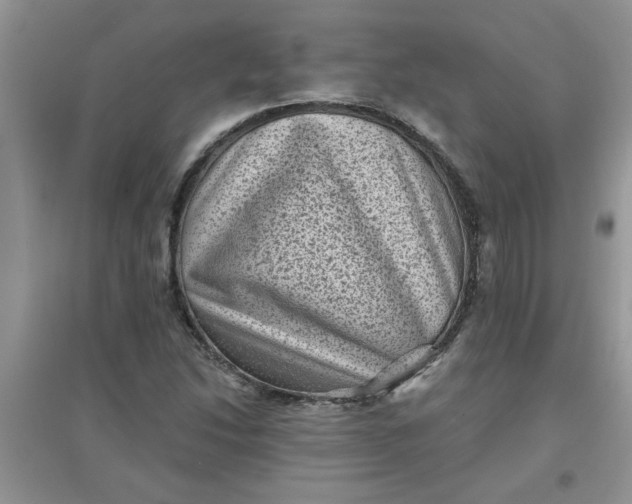 X0000097631214200803142017