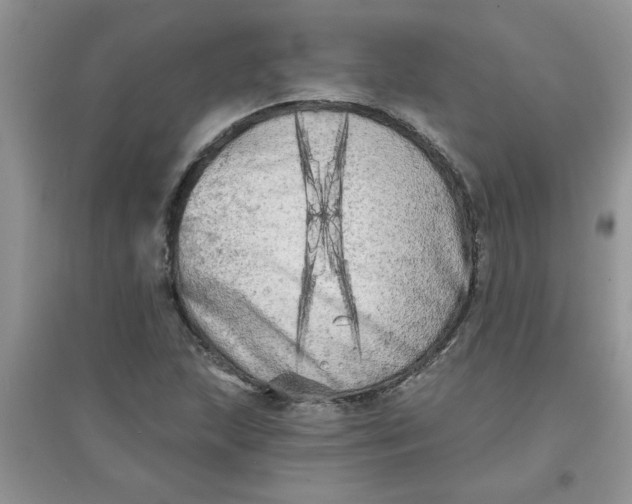 X0000097631215200803142017