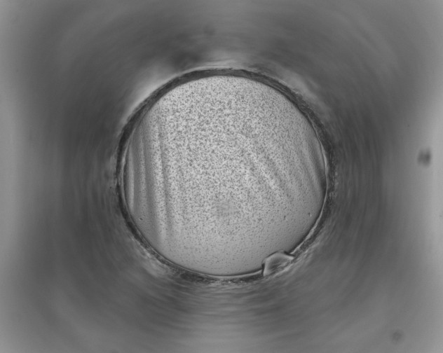 X0000097631216200803142017