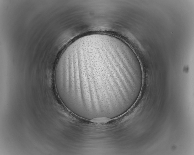 X0000097631217200803142017