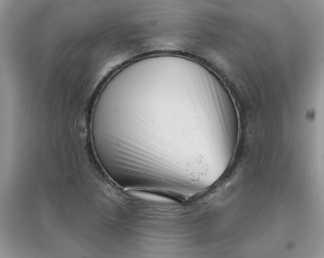 X0000097631218200803142017