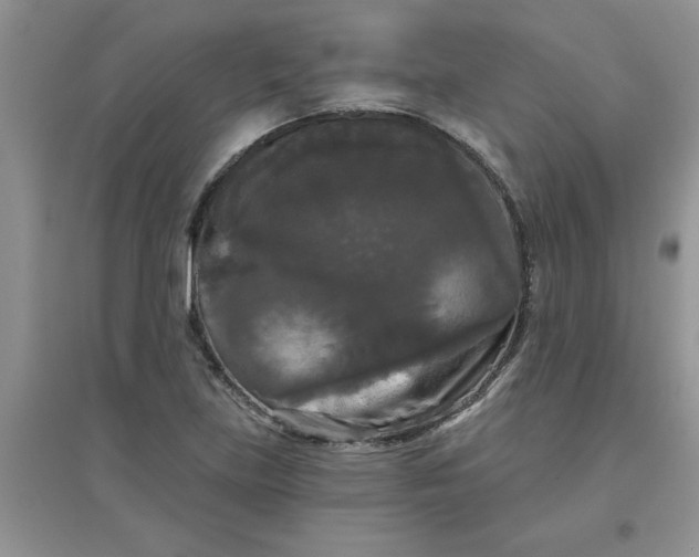 X0000097631219200803142017