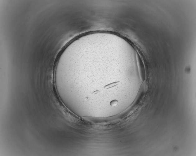 X0000097631220200803142017