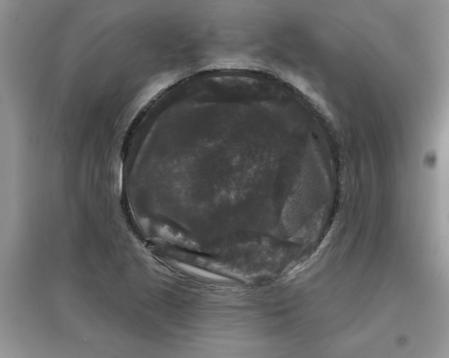 X0000097631221200803142017