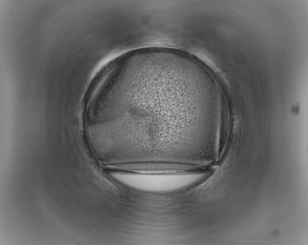 X0000097631222200803142017