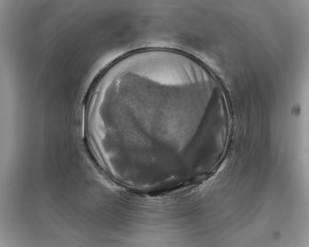 X0000097631223200803142017