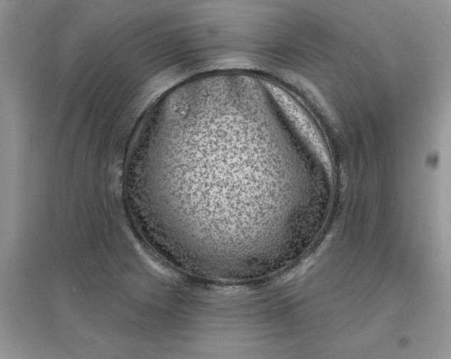 X0000097631225200803142017