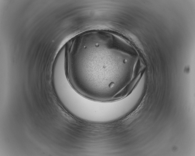 X0000097631226200803142017