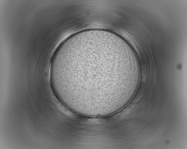 X0000097631227200803142017