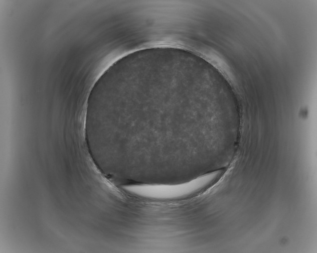 X0000097631228200803142017