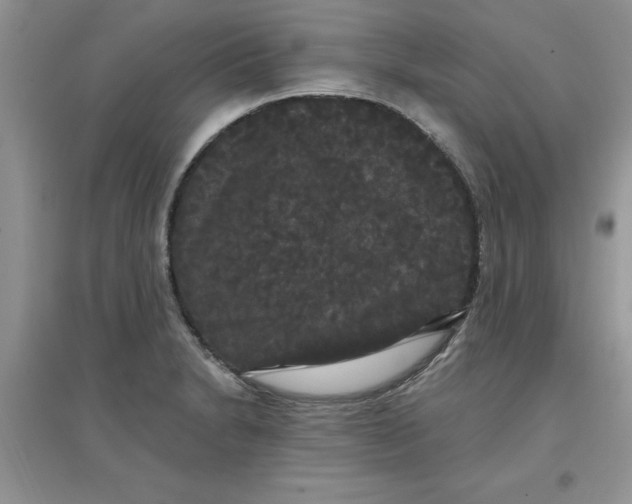 X0000097631230200803142017