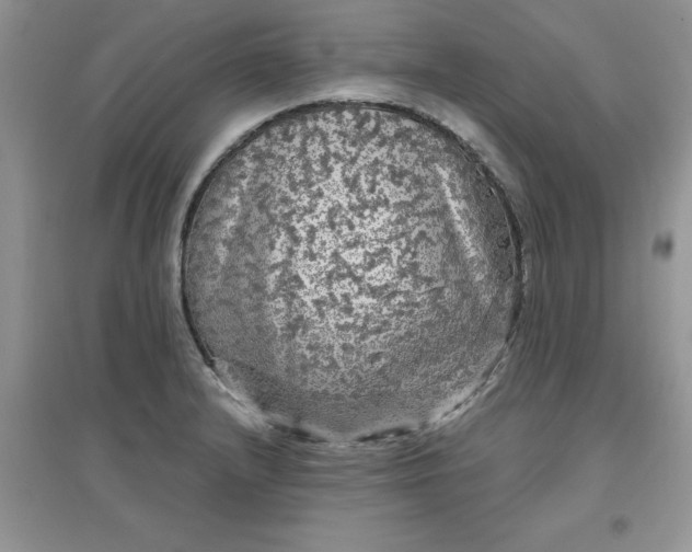 X0000097631232200803142017