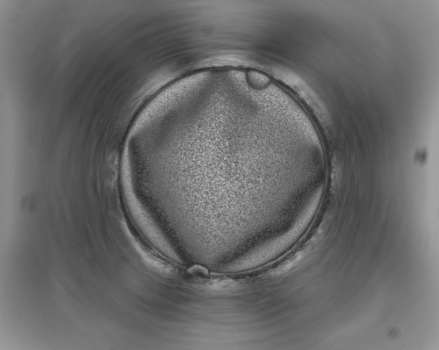 X0000097631233200803142017