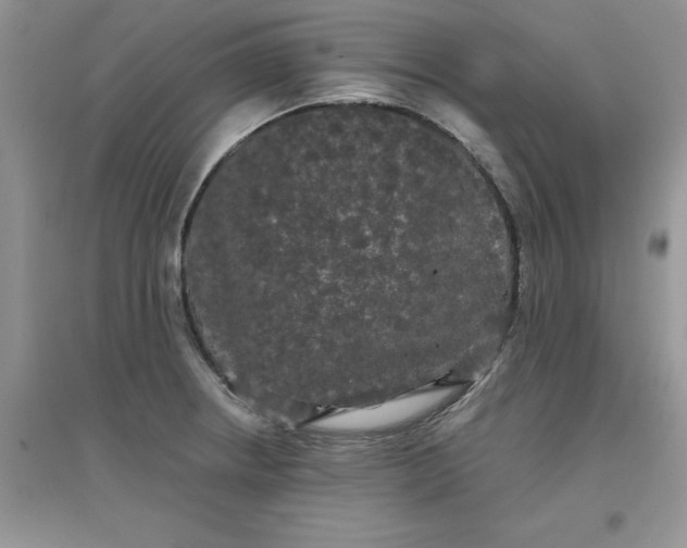 X0000097631234200803142017