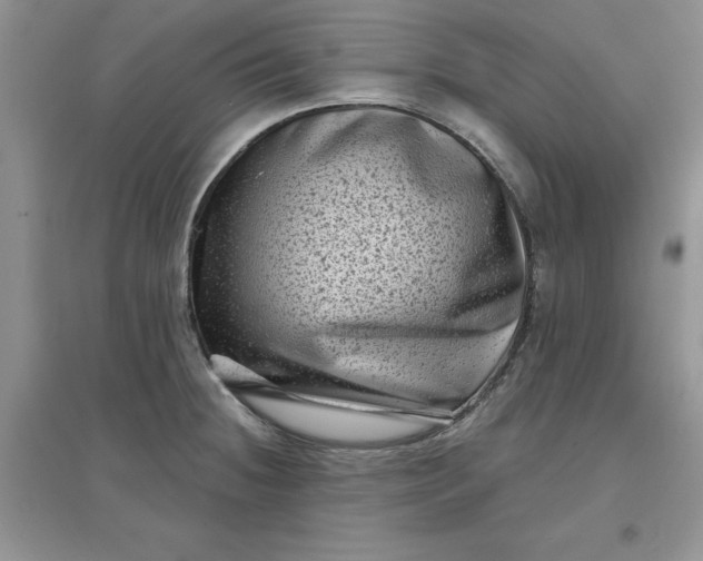 X0000097631236200803142017