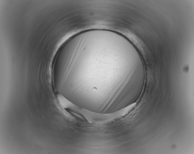 X0000097631238200803142017