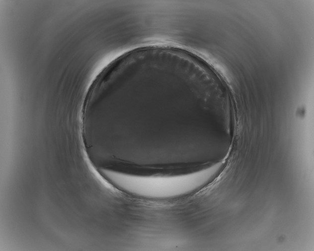 X0000097631239200803142017