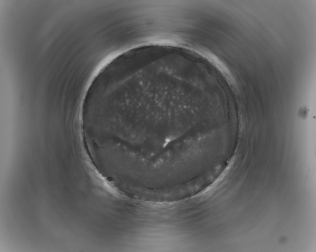 X0000097631240200803142017