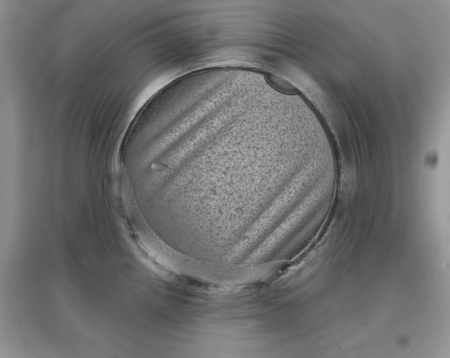 X0000097631242200803142017