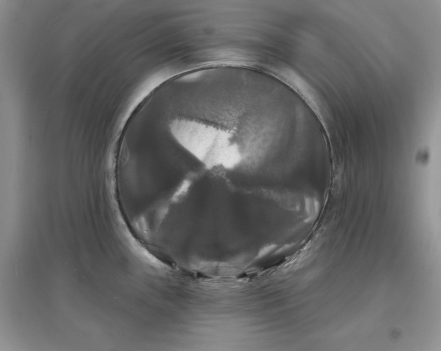 X0000097631243200803142017