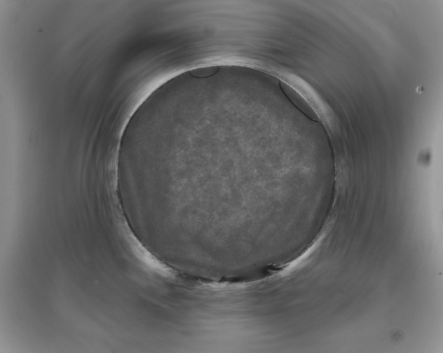 X0000097631244200803142017