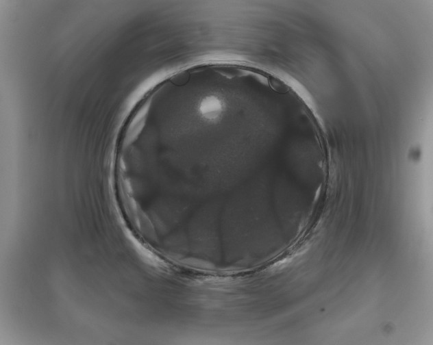 X0000097631245200803142017