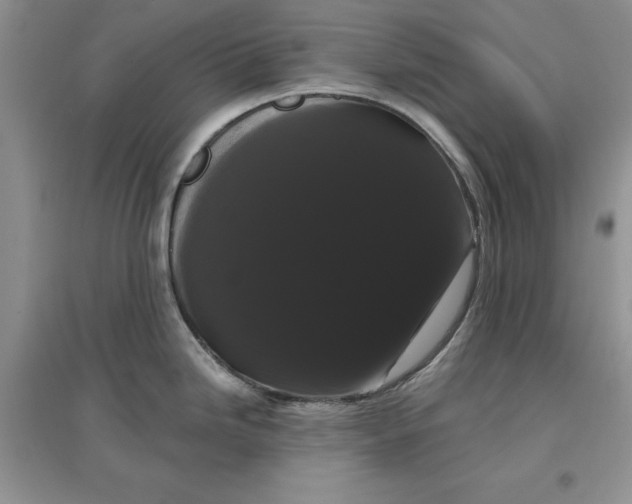 X0000097631246200803142017