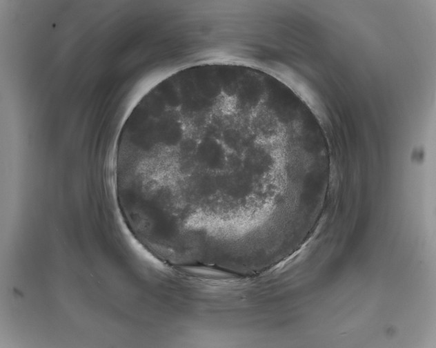 X0000097631247200803142017