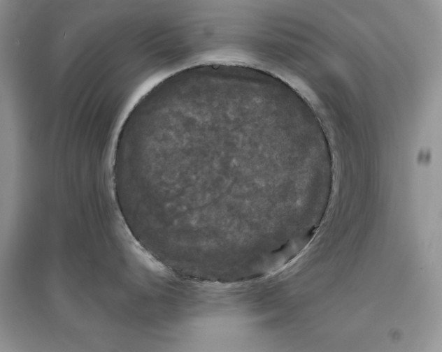 X0000097631248200803142017