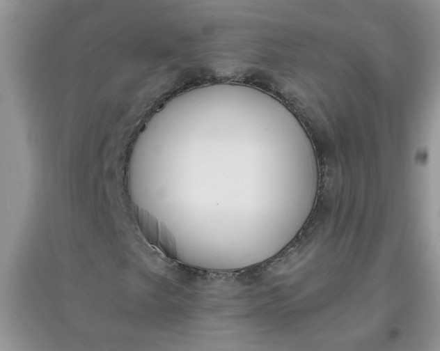 X0000097631249200803142017