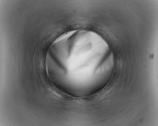 X0000097631250200803142017