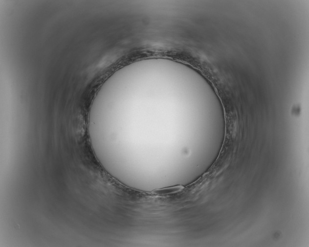 X0000097631253200803142017