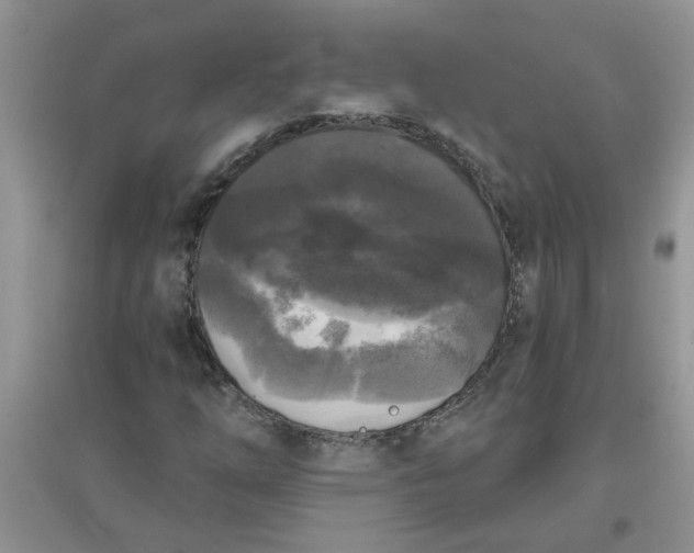 X0000097631254200803142017