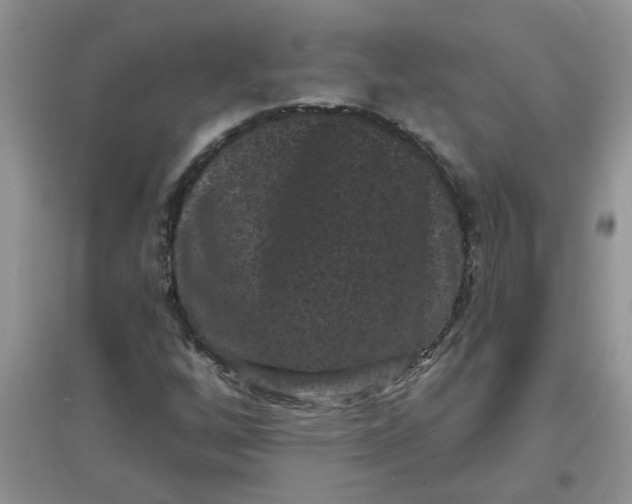 X0000097631256200803142017