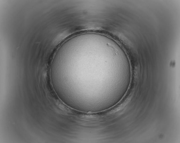 X0000097631257200803142017