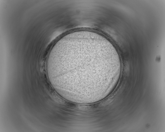 X0000097631258200803142017