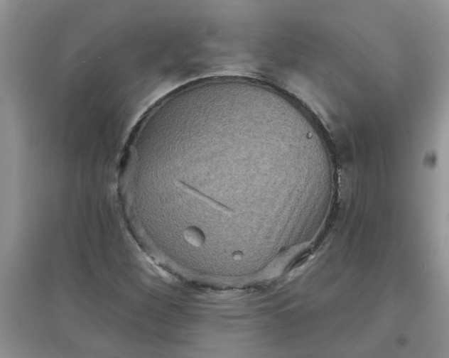 X0000097631260200803142017