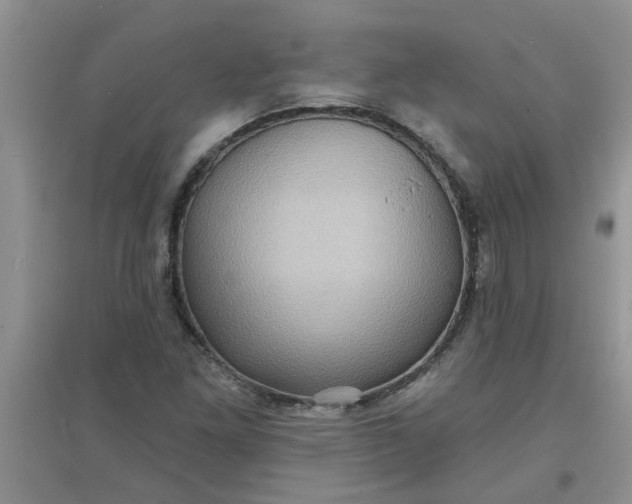 X0000097631261200803142017