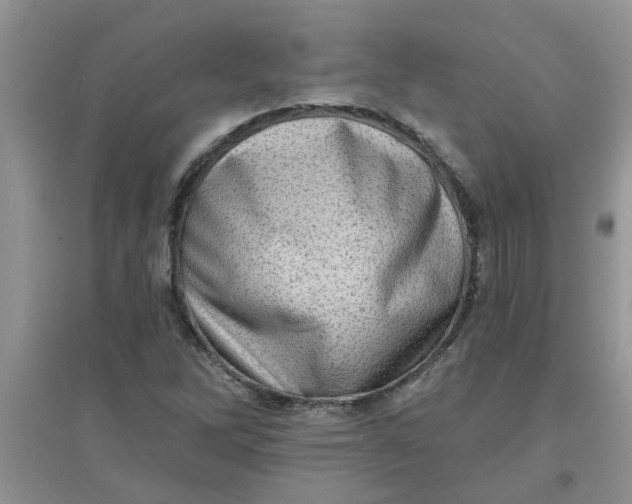 X0000097631262200803142017