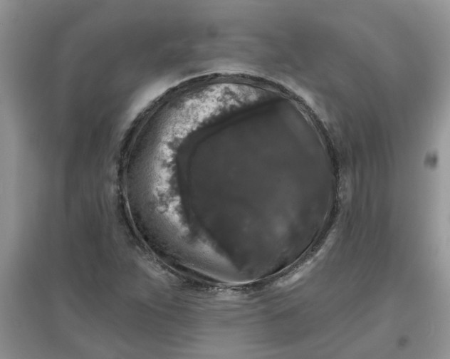 X0000097631263200803142017